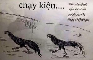 Gà Chạy Kiệu
